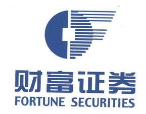 財富證券有限責任公司 如何利用天眼查進行高效金融信息咨詢